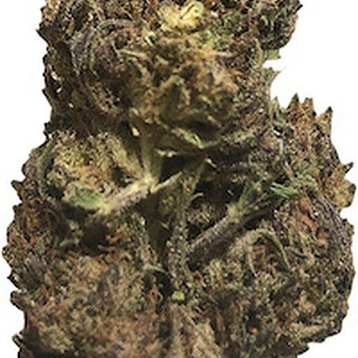 CB Dawg 16.9% CBD